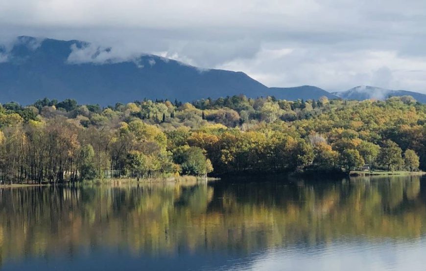 Tirana Walking Tour